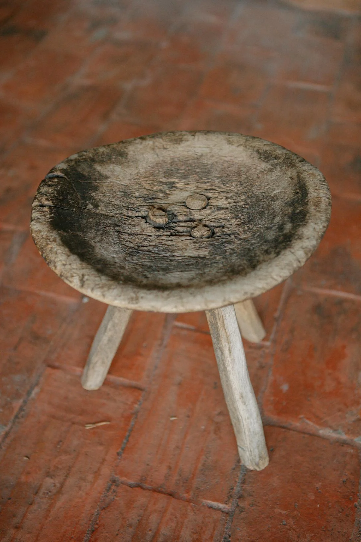 Bois Sacré